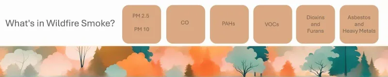 Figure 1: What’s in Wildfire Smoke? (Safiya Cummings, 2025)