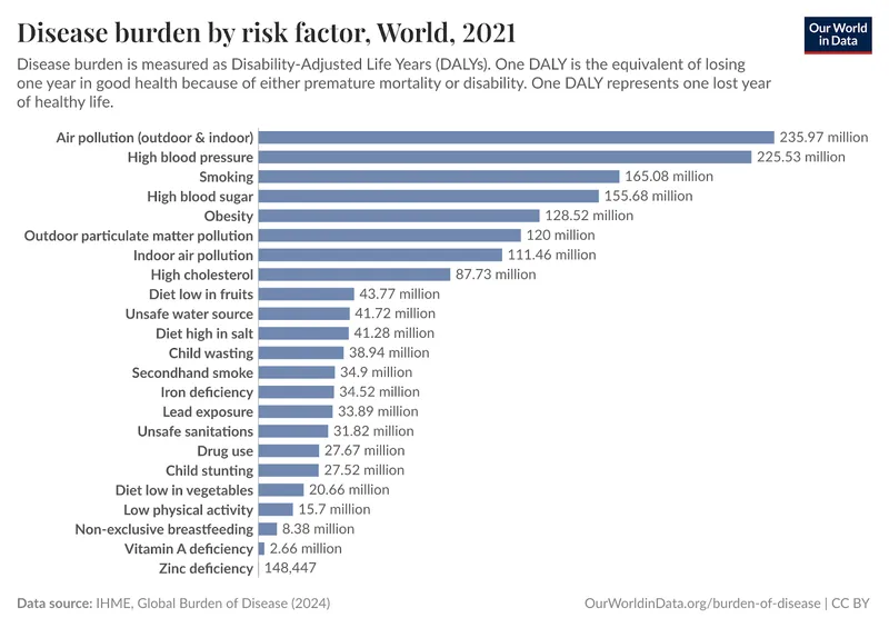 Air pollution ranked as the top risk factor of disease burden in 2021