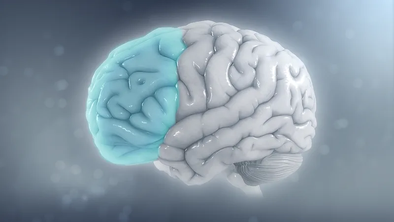 Beyond the Numbers: Does Air Pollution Cause Dementia?