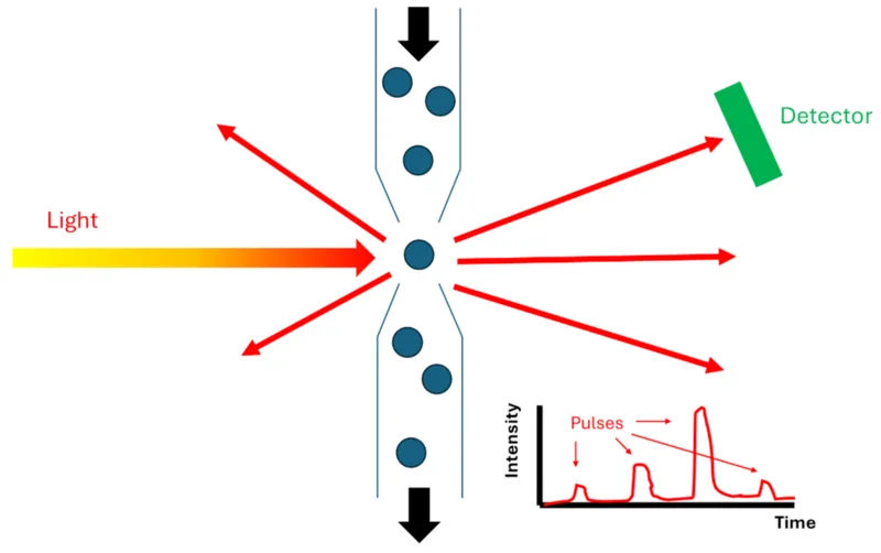 Figure 2: Illustration of how individual particles are illuminated by a laser in an optical particle counter with single-particle counting. Each particle produces a scattering signal (pulse), whose intensity is related to particle size.