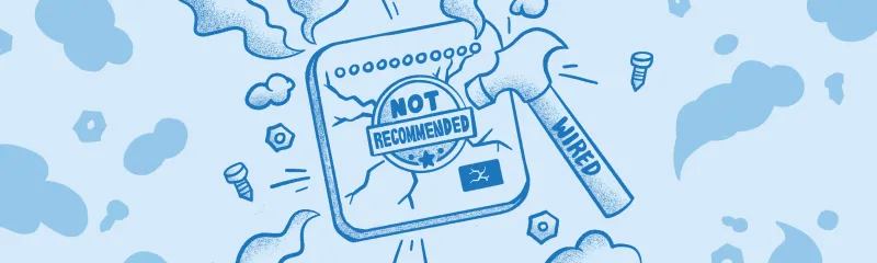 Forest in New Zealand.