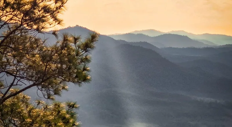 The Open Air Communications Advocates’ Earth Day