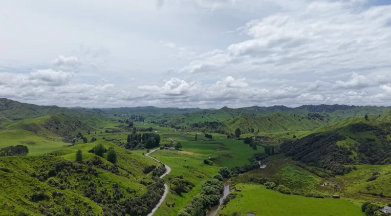 A photo of the land we want to plant and neighbouring land.