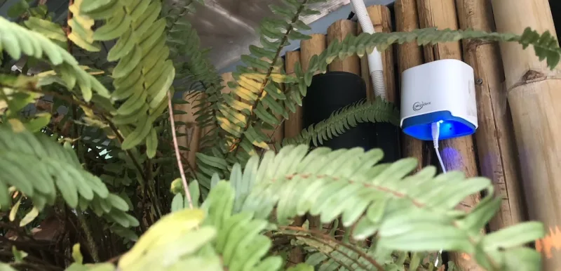 The AirGradient Open Air outdoor monitor installed on the outside wall