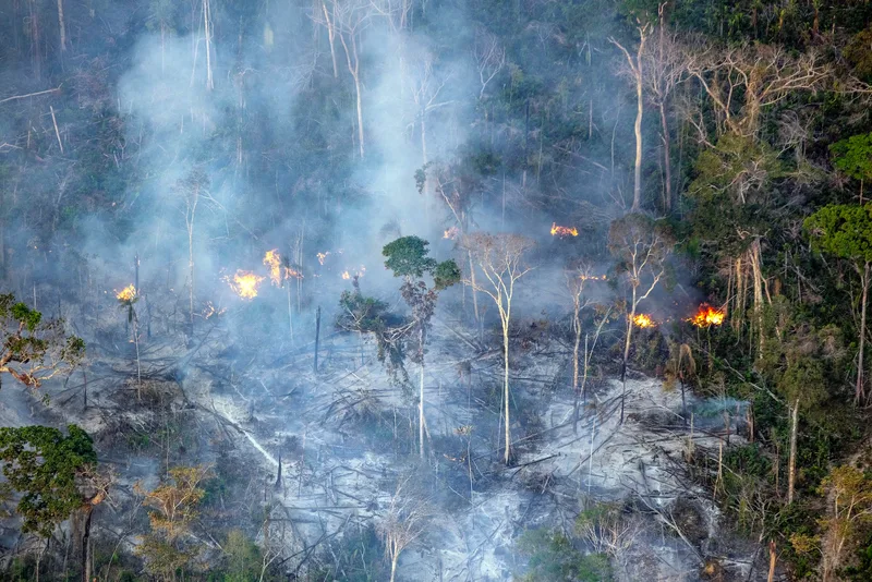 Joining the Fight Against Human Driven Air Pollution in the Amazon: A Case Study from Brazil