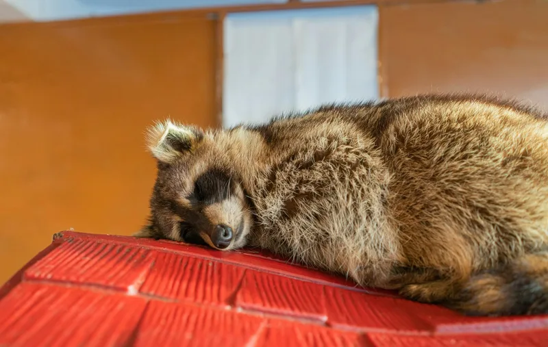 Understanding the Cost of Inaction on Air Pollution